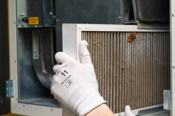 Best Affordable Duct Cleaning Services  in Three Way, TN
