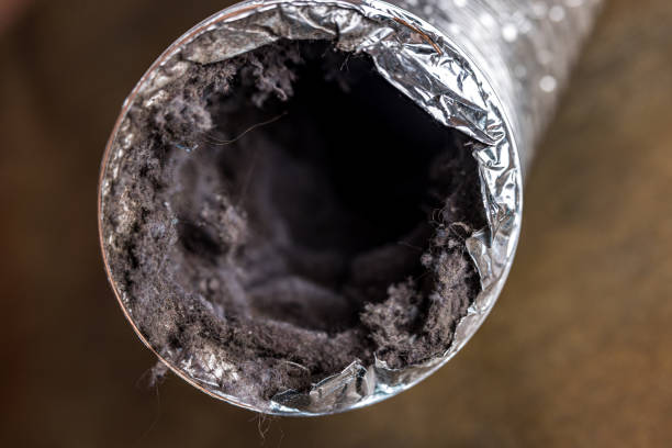 Best Air Vent Cleaning Services  in Three Way, TN