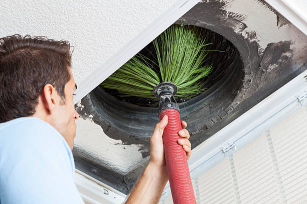 Best Air Duct Cleaning Company Near Me  in Three Way, TN